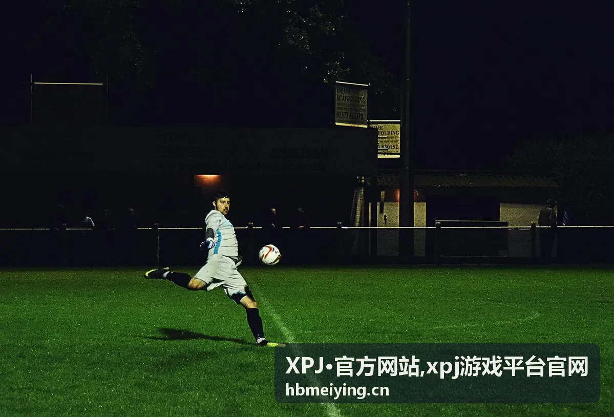 xpj游戏平台官网分类浏览封面